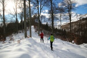 stage raquette écriture