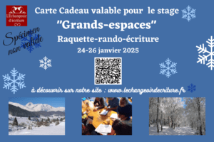 carte cadeau stage raquette-écriture